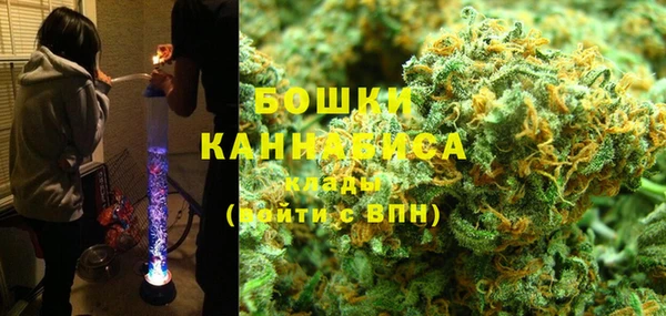 ГАЛЛЮЦИНОГЕННЫЕ ГРИБЫ Липки