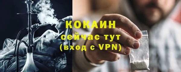 ГАЛЛЮЦИНОГЕННЫЕ ГРИБЫ Липки