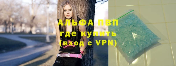 прущие грибы Лихославль
