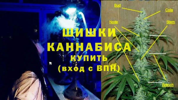 ГАЛЛЮЦИНОГЕННЫЕ ГРИБЫ Липки