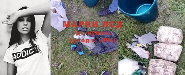 прущие грибы Лихославль