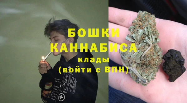 ГАЛЛЮЦИНОГЕННЫЕ ГРИБЫ Липки