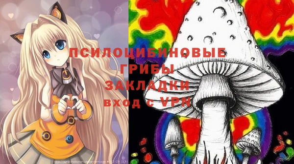 прущие грибы Лихославль