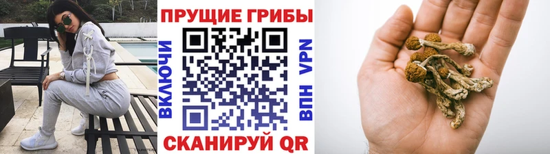Галлюциногенные грибы MAGIC MUSHROOMS  Шумиха 